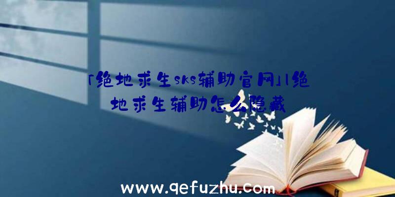 「绝地求生sks辅助官网」|绝地求生辅助怎么隐藏